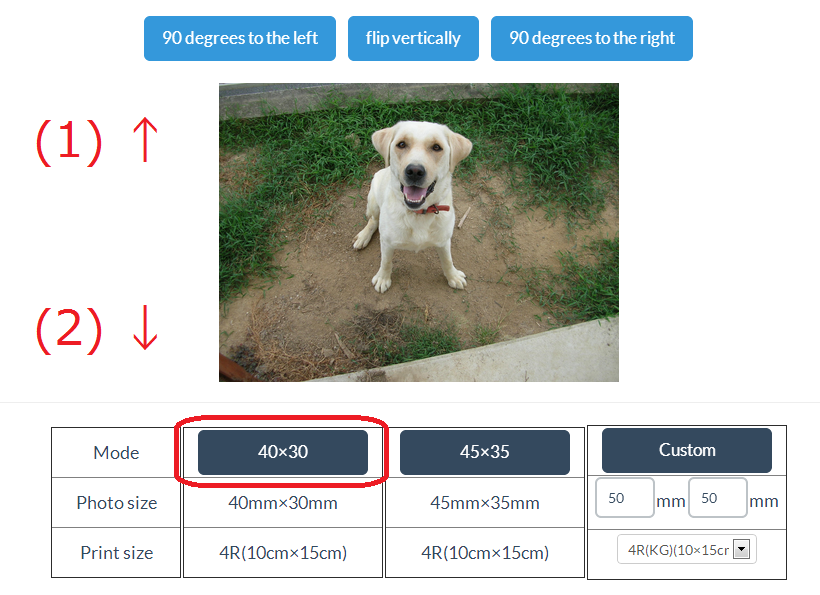 step 2 of IDphotoGenerator